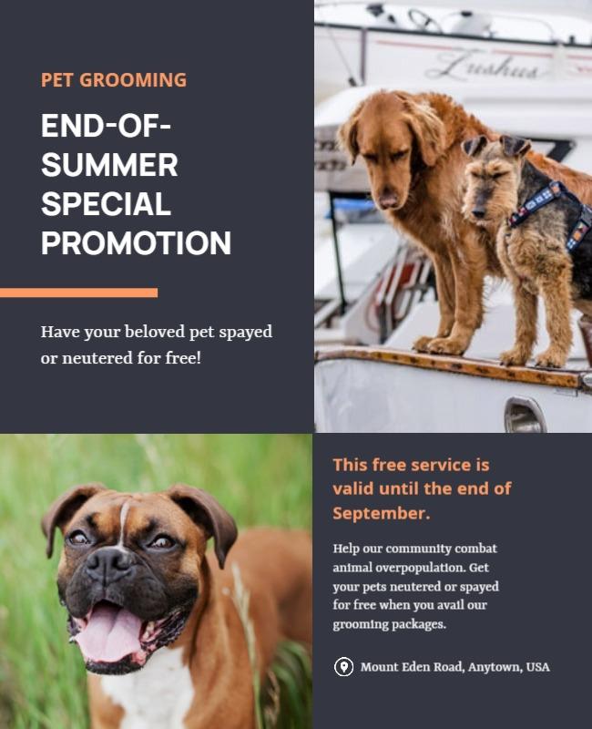 End Of Summer Pet Grooming Promotion Flyer Template