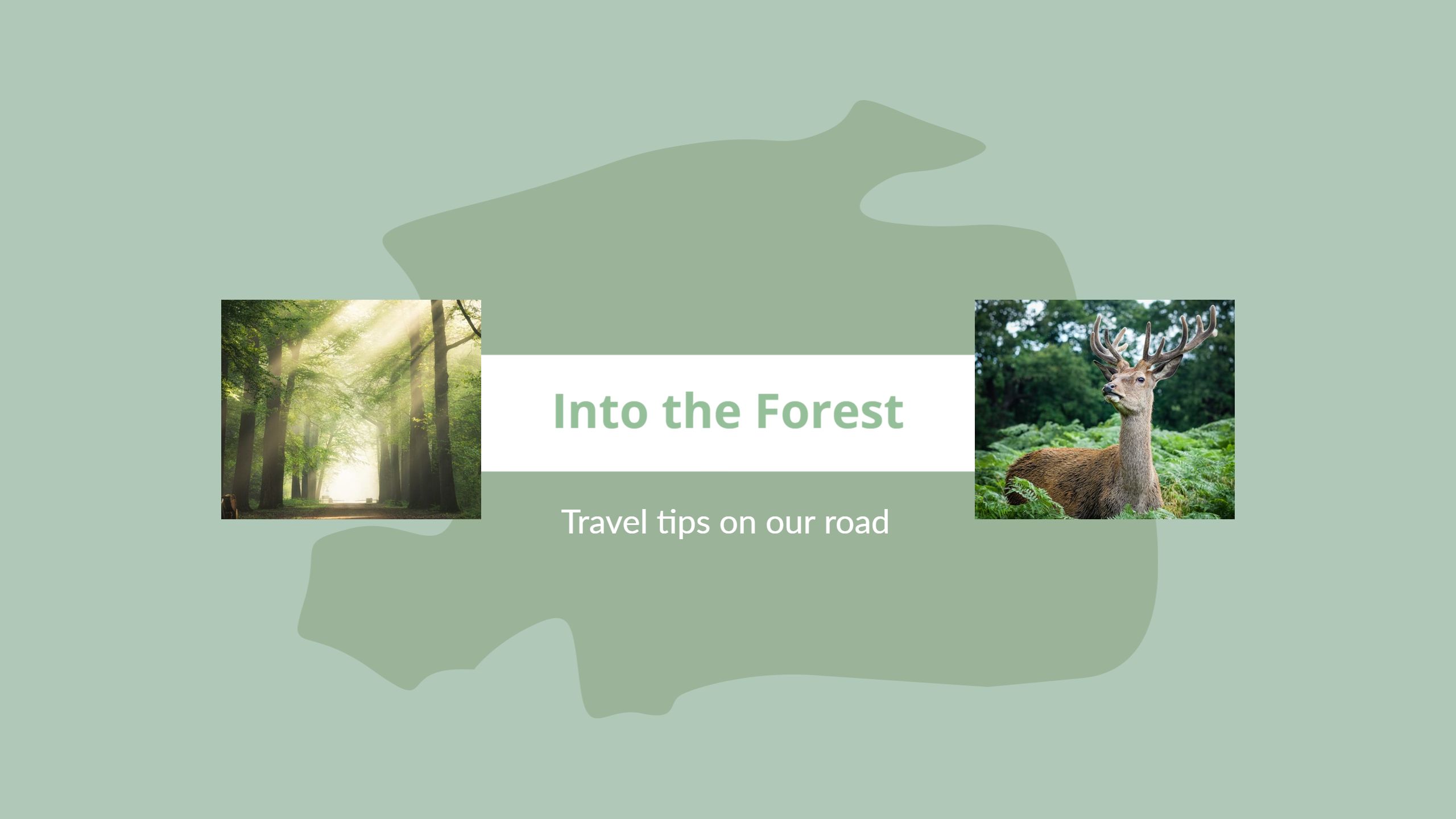 Exploring Serene Forest Trails with Wildlife Travel Banner Template