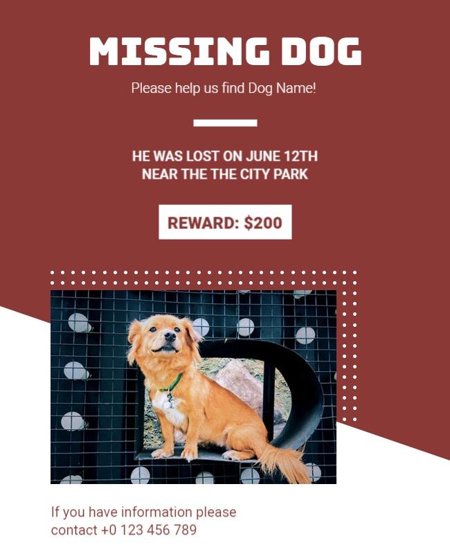 Eye-Catching Missing Dog Alert with Reward Poster Template
