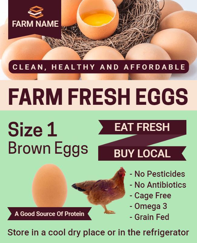 Farm Fresh Brown Eggs Healthy Organic Flyer Template