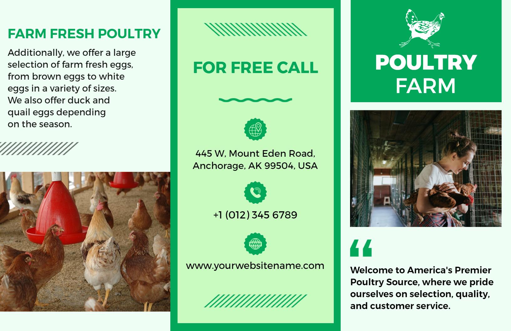 Farm Fresh Poultry Eggs and Natural Meats Tri Fold Brochure Template