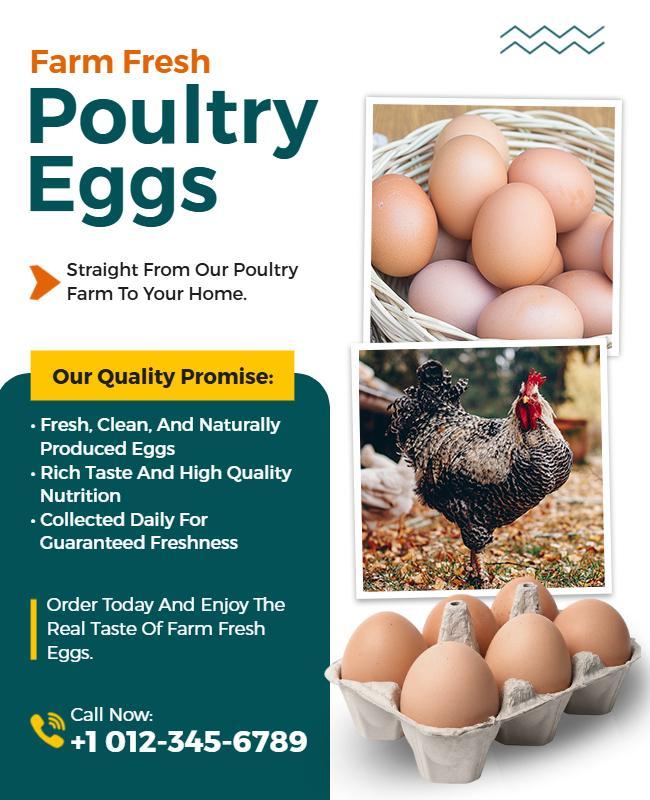 Farm Fresh Poultry Eggs Promotion Flyer Template