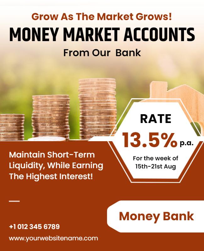 Financial Money Market Accounts Promotion Flyer Template