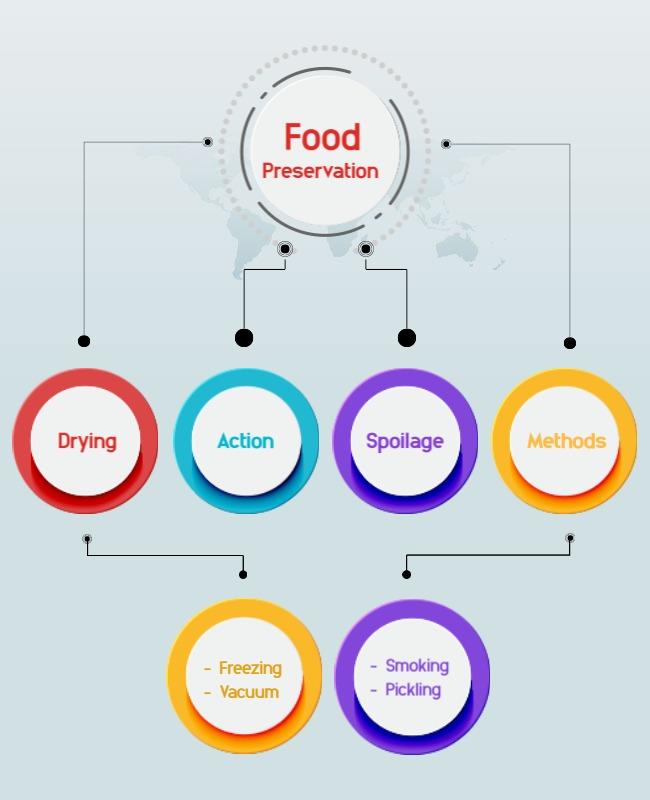 Food Preservation Techniques Educational Flyer Template