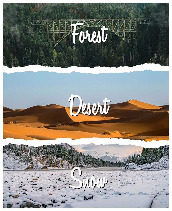 Forest Desert Snow Photo Collage Flyer Template