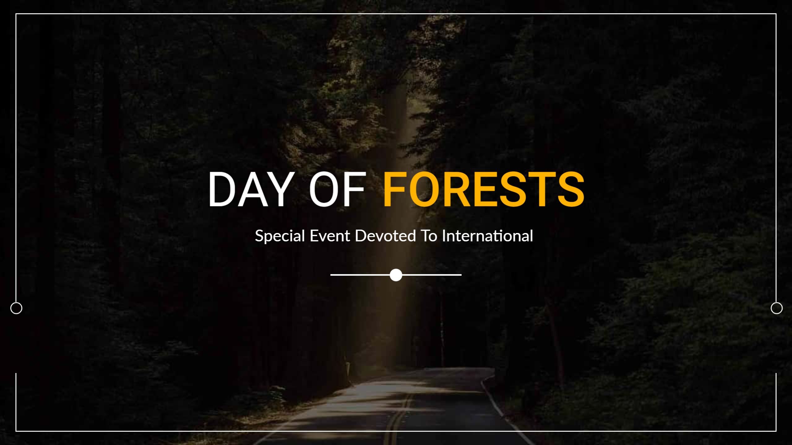 Forest Landscape with Rays of Sunlight YouTube Banner Template