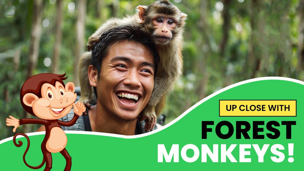 Forest Monkeys Adventure Fun Trending YouTube Thumbnail Template