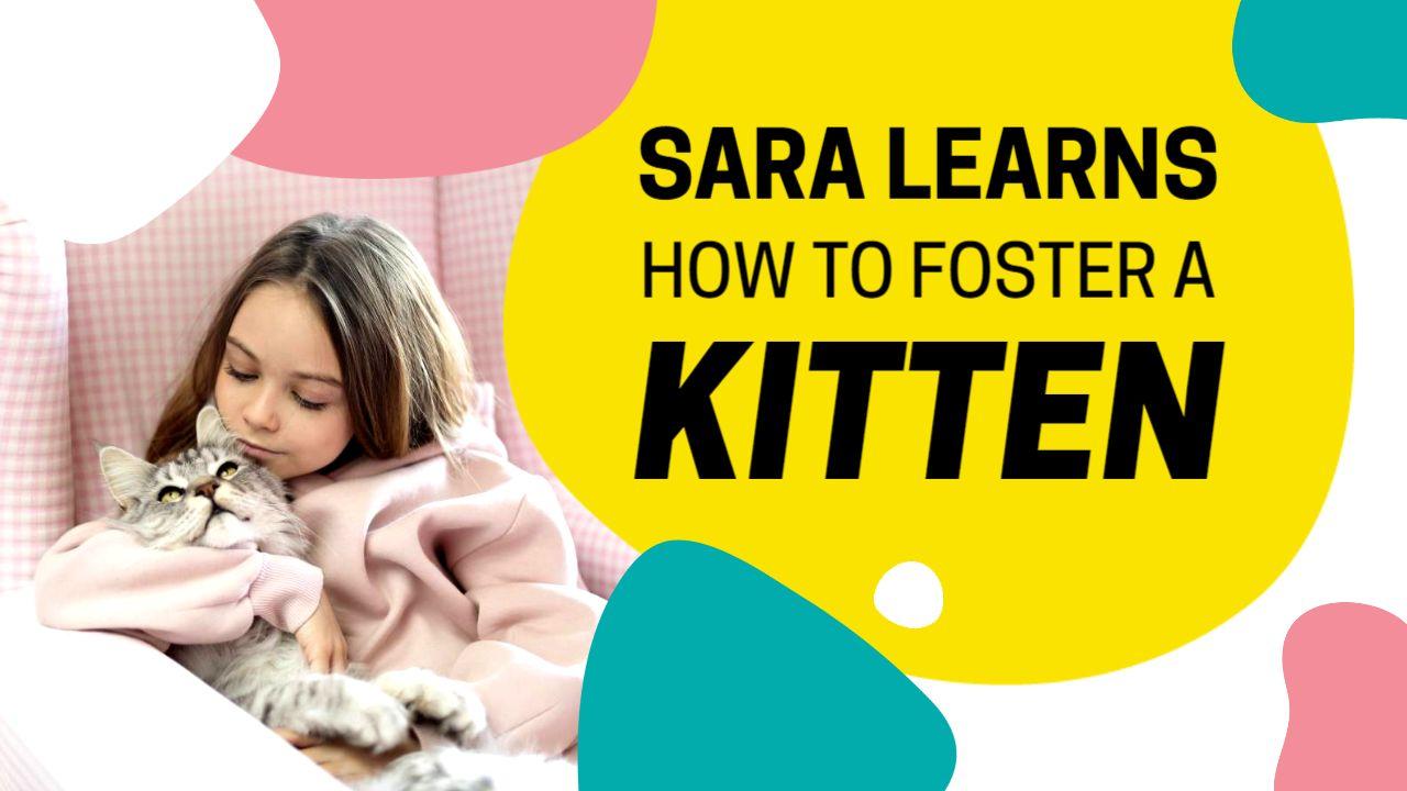 Fostering Kittens Tips and Tricks Trending YouTube Thumbnail Template