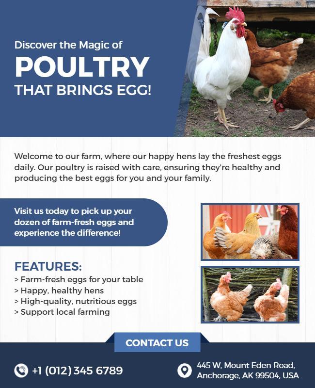 Fresh Farm Poultry Egg Collection Promotion Poster Template