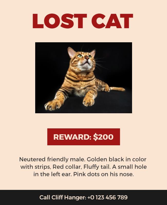 Friendly Golden Black Lost Cat Reward Poster Template