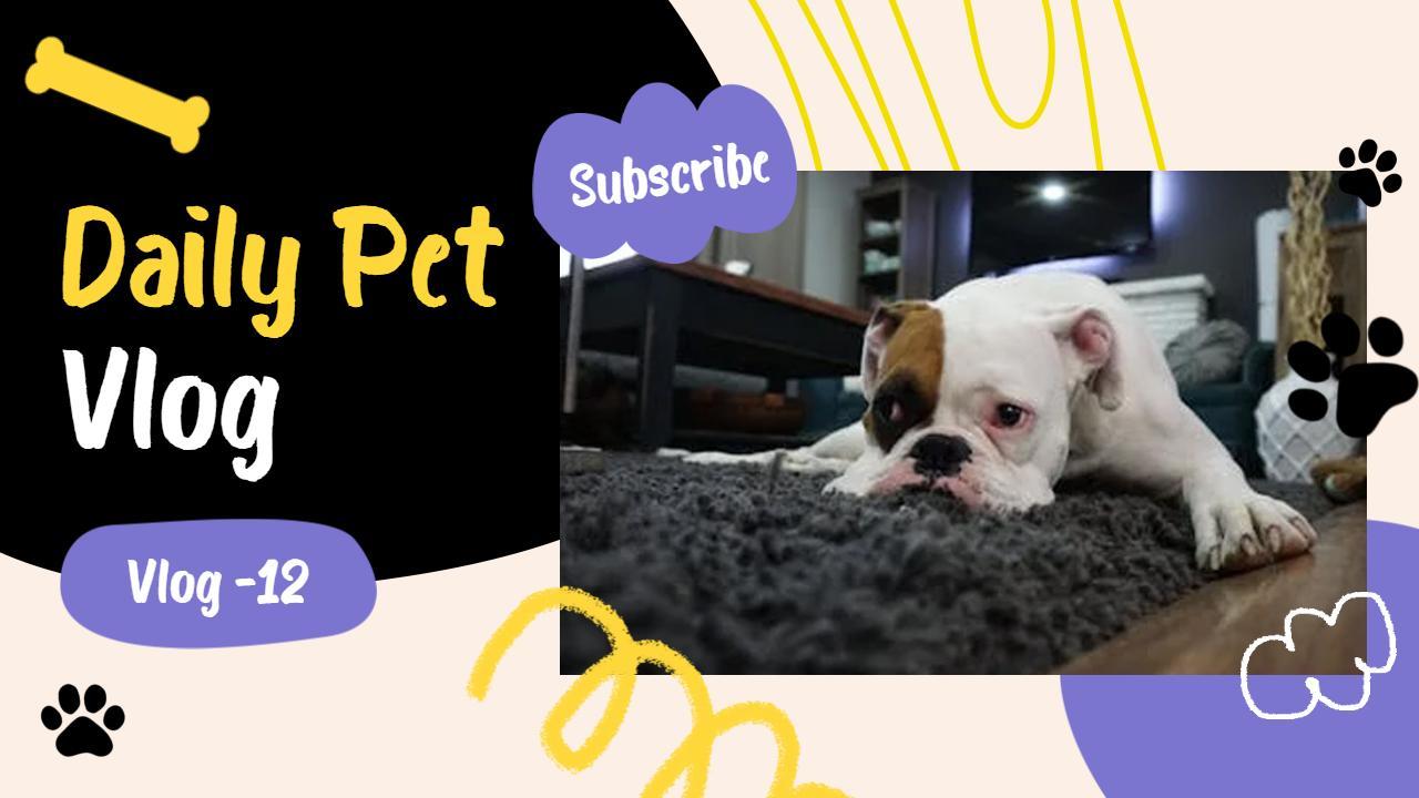 Fun Daily Pet Adventures Vlog YouTube Thumbnail Template