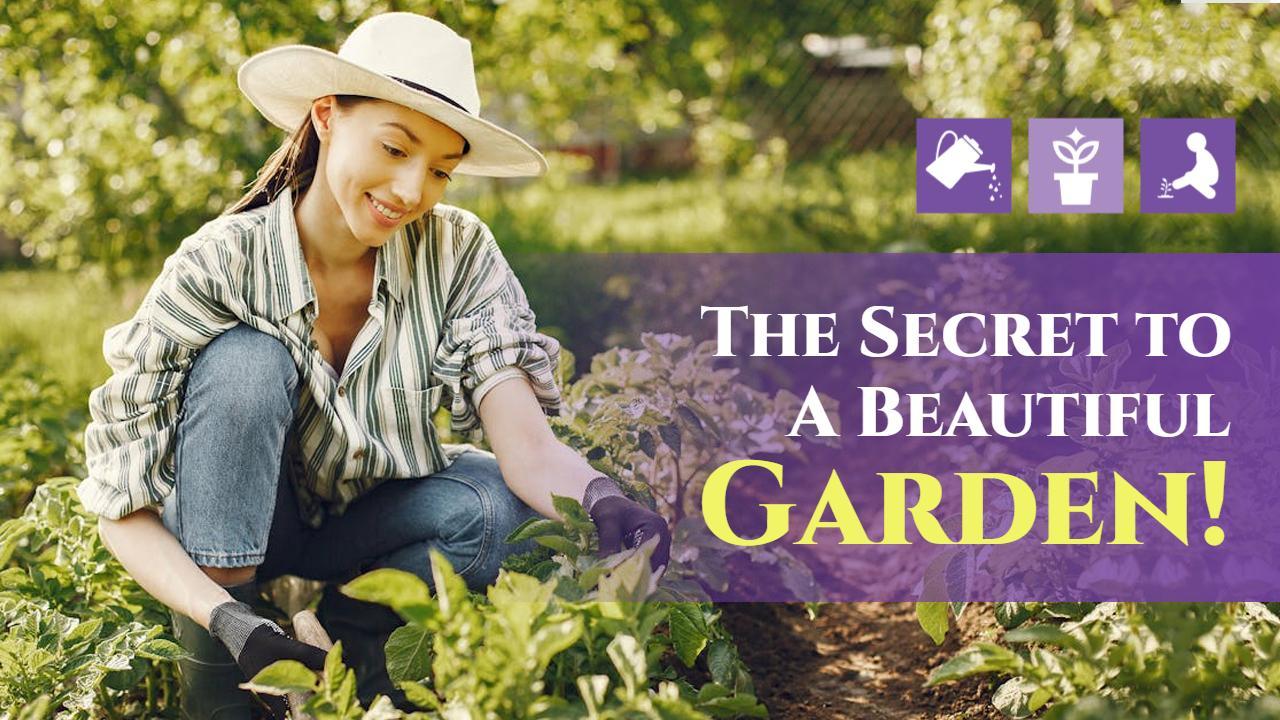 Gardening Tips to Create a Beautiful Garden Trending YouTube Thumbnail Template