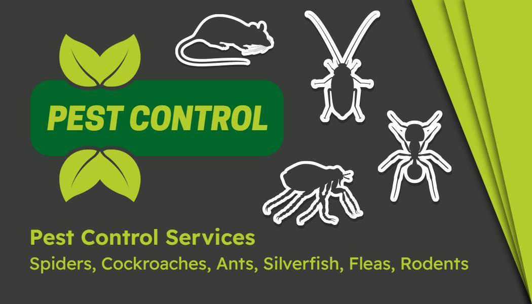 Green Leaf Pest Control Services Visiting Card Template
