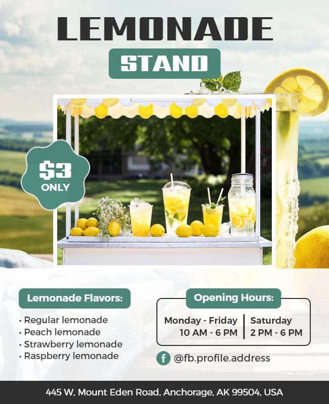 Homemade Lemonade Stand Promotional Flyer Template