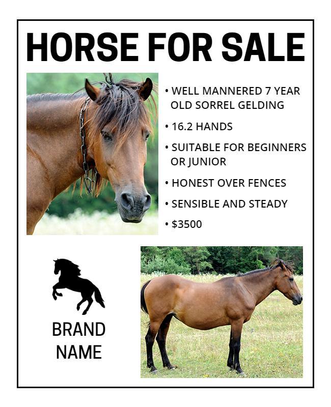 Bold Black and White Horse Sale Flyer Template