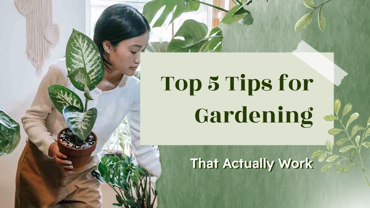 Indoor Gardening Tips for Beginners Trending YouTube Thumbnail Template
