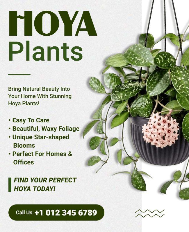 Indoor Hoya Plants Promotional Flyer Template