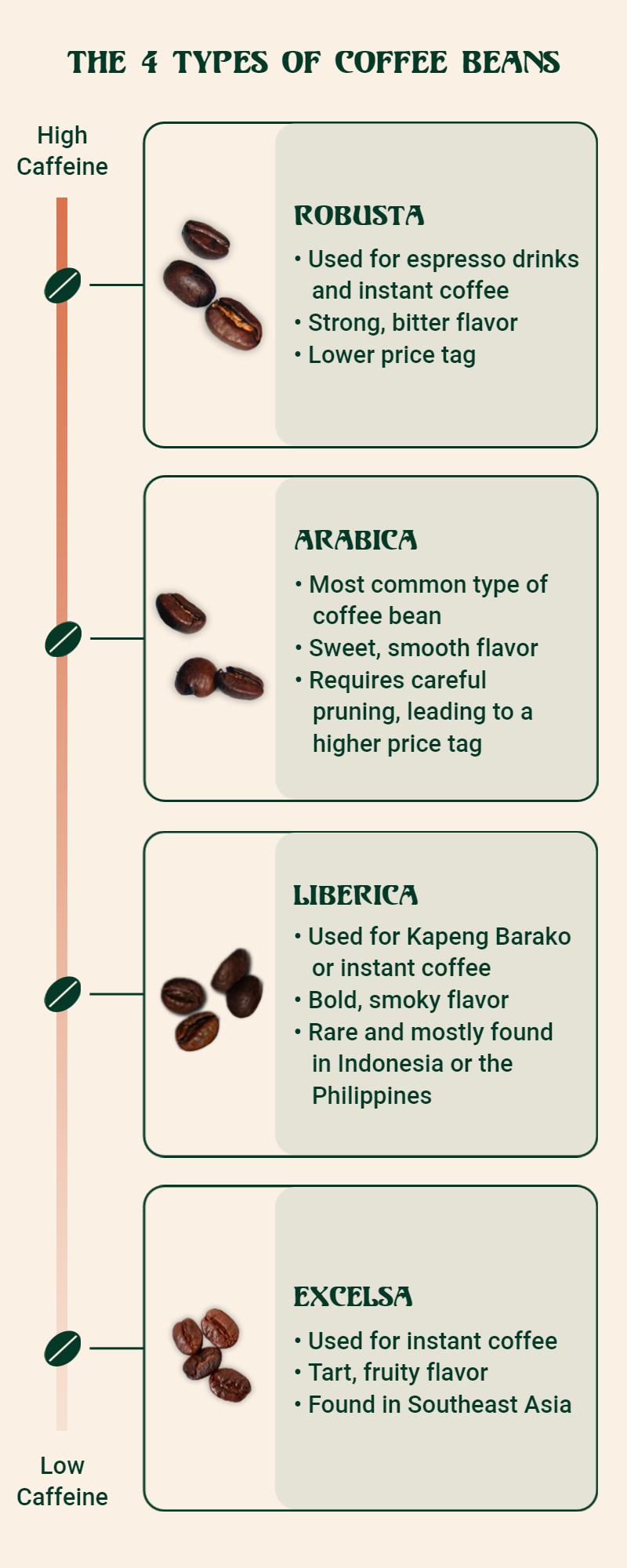 Informative Green Coffee Bean Types Guide Poster Template