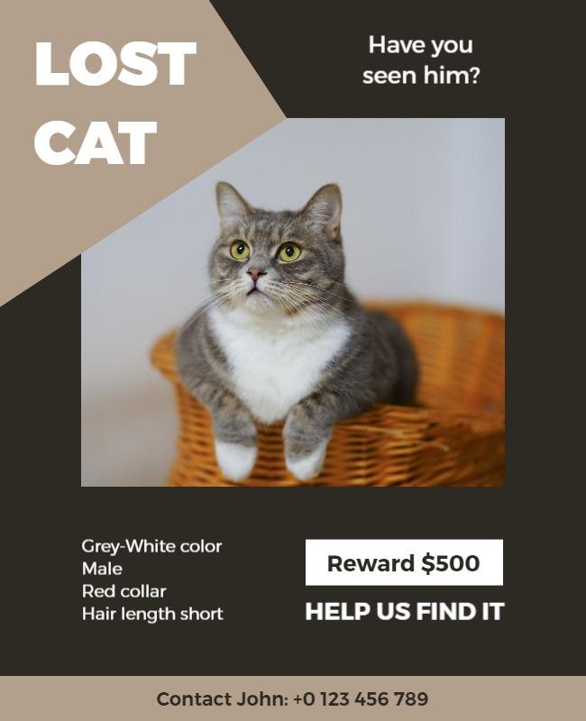Informative Lost Cat Report with Reward Offer Poster Template