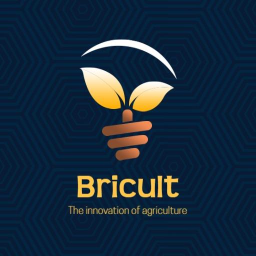 Innovative Light Bulb and Leaf Symbol Representing Agriculture Logo Template