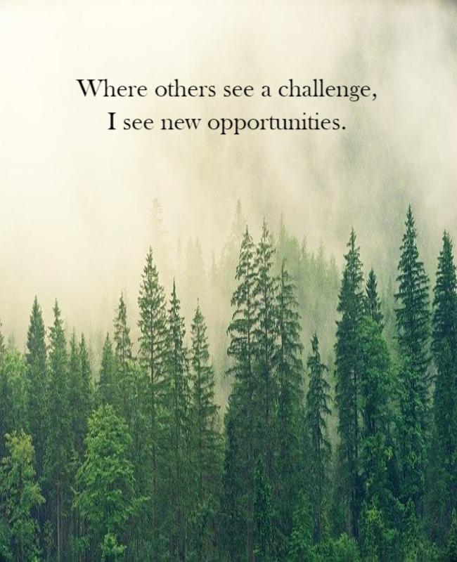 Inspirational Misty Forest Landscape Quote Poster Template