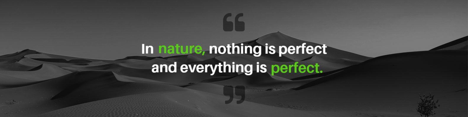 Inspirational Quote About Nature on Black LinkedIn Banner Template