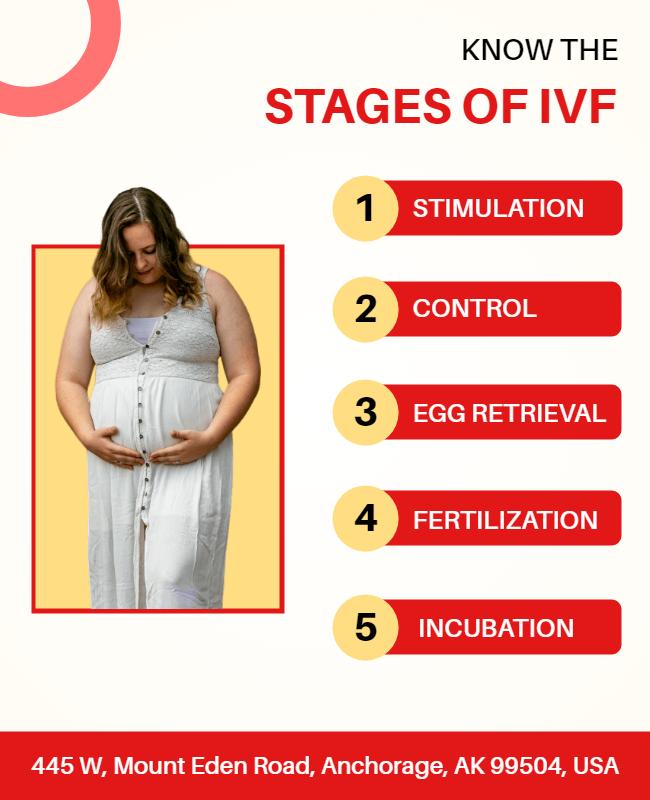 Ivf Stages Educational Flyer Template