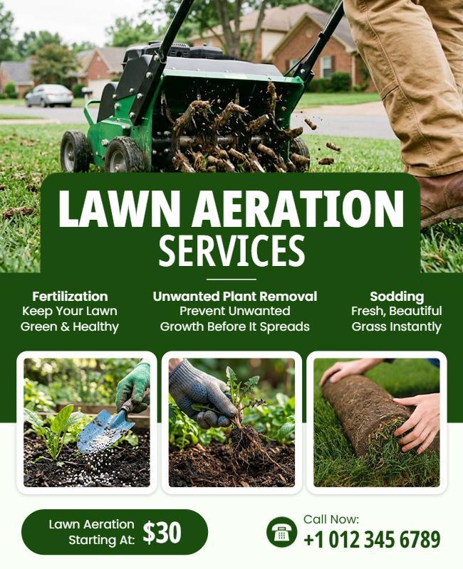Lawn Aeration Services Flyer Template