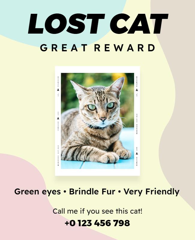 Lost Cat Missing Pet Alert Flyer Template