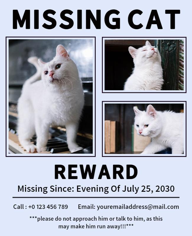 Lost Cat Reward Announcement Flyer Template