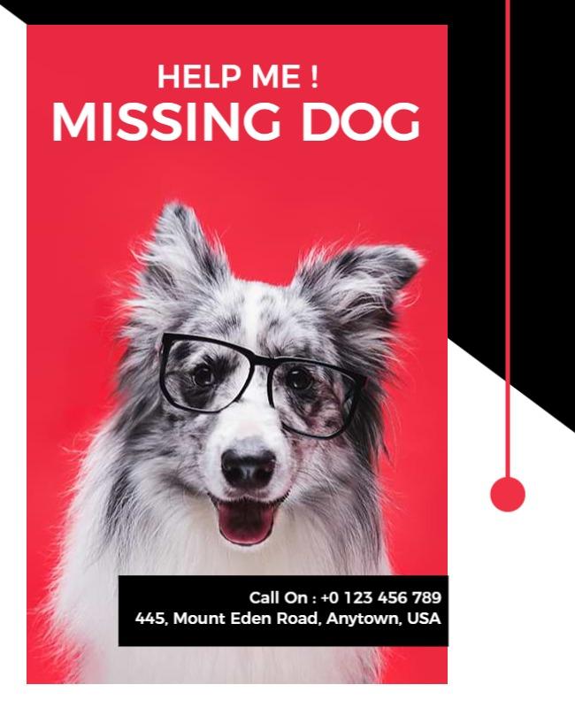 Lost Dog Alert Notice Flyer Template