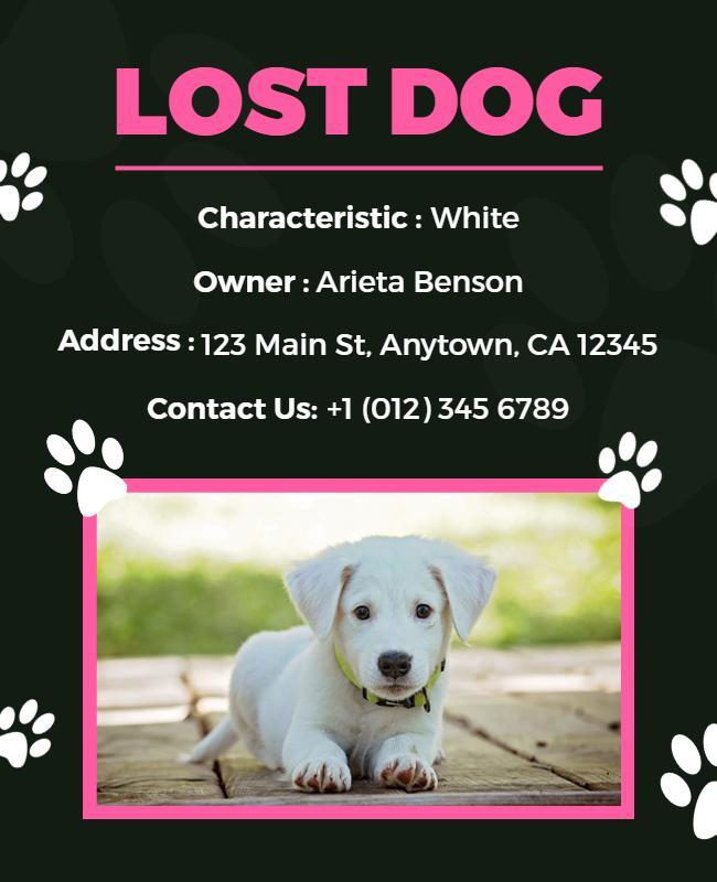 Lost Dog Alert with Contact Information Flyer Template