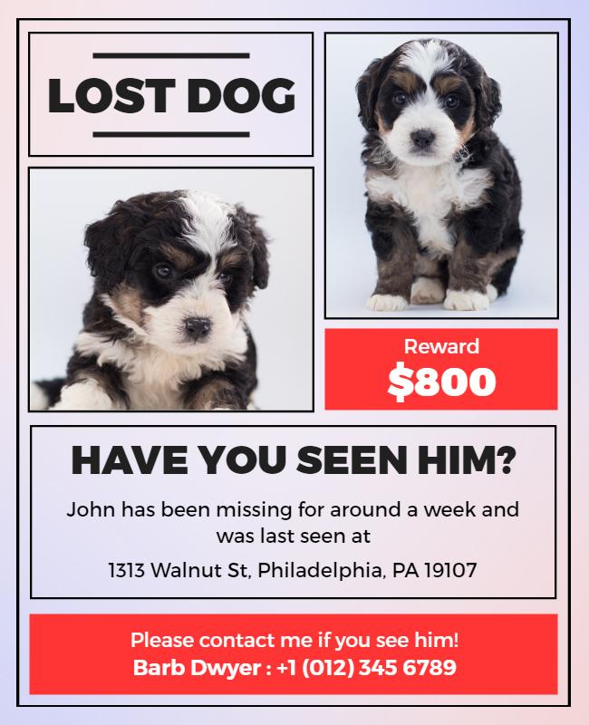 Lost Dog Missing Pet Reward Flyer Template