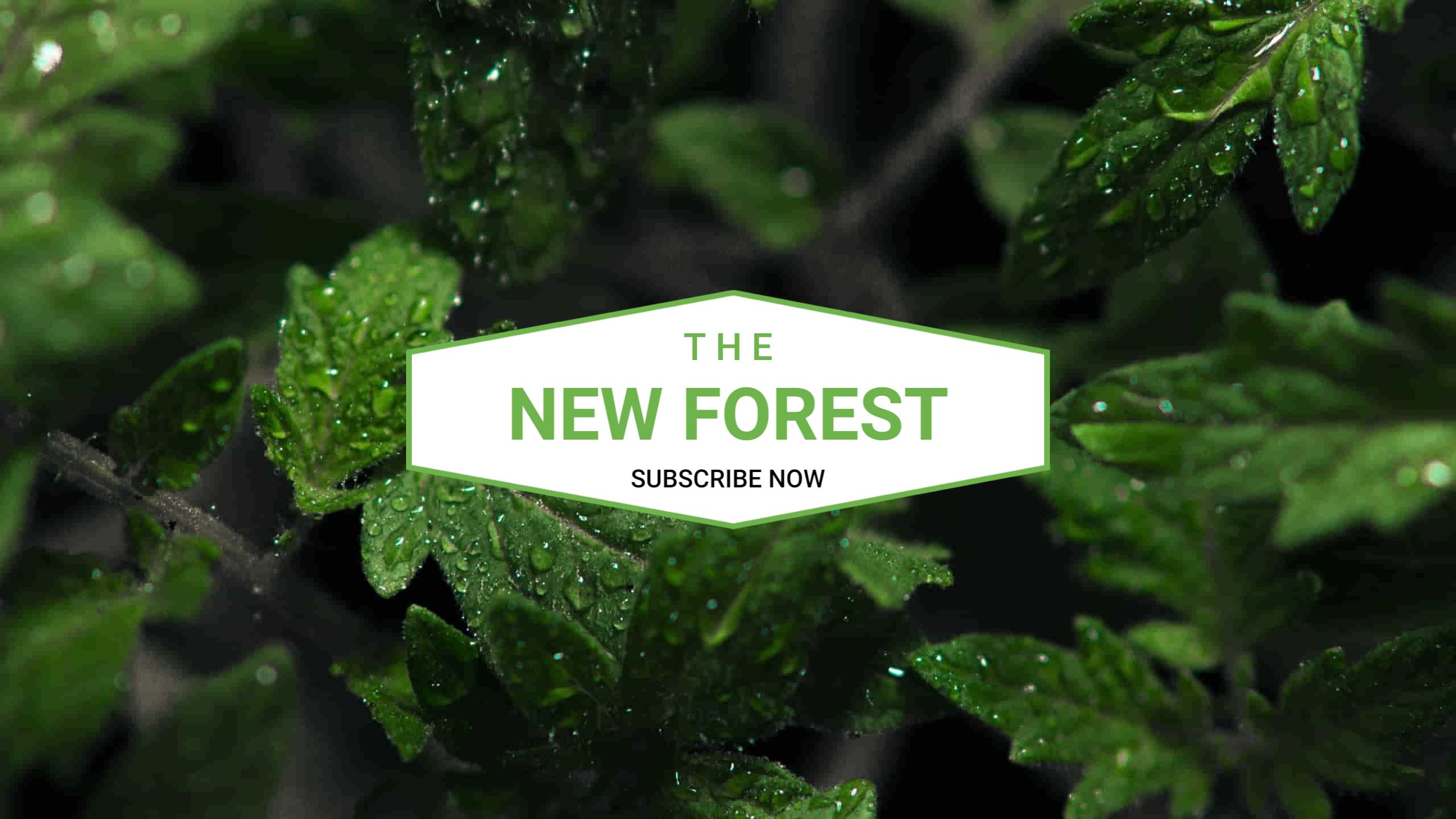 Lush Green Leaves and Refreshing Vibes YouTube Banner Template