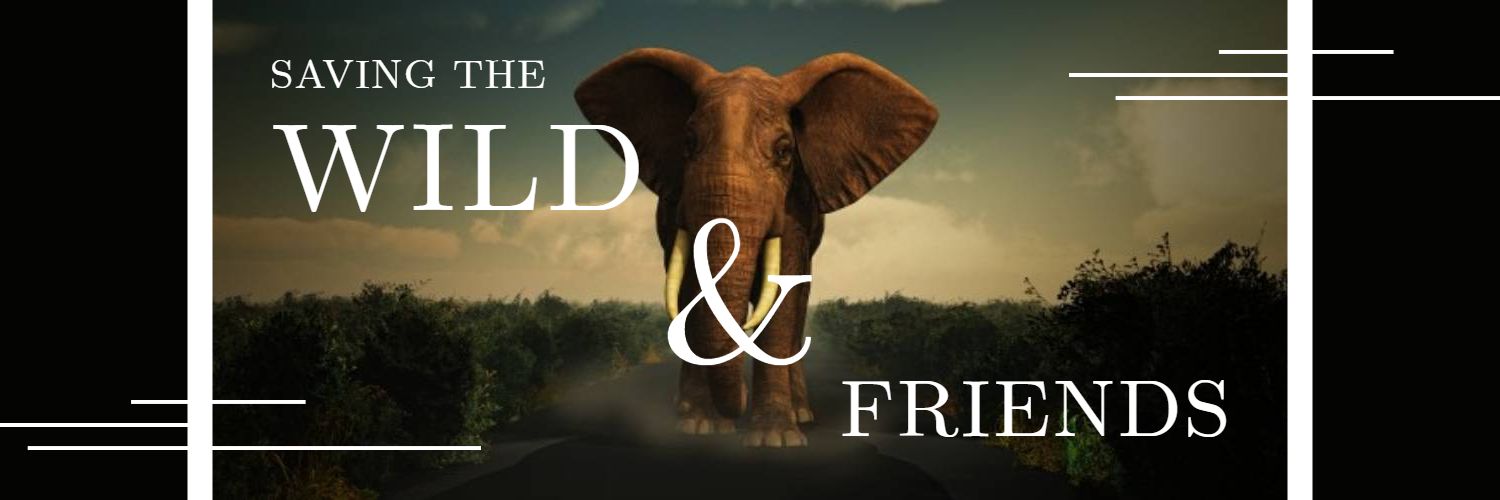 Majestic Elephant in Nature Promoting Wildlife Conservation Twitter Banner Template