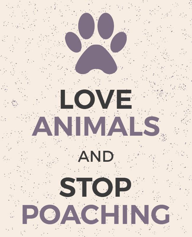 Minimalist Elegant Animal Protection Awareness Poster Template