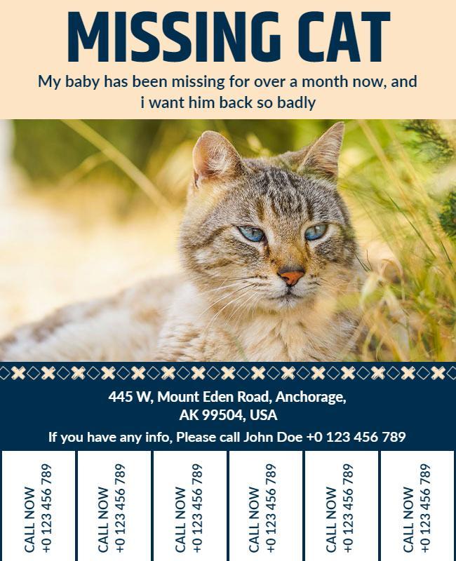 Missing Cat Alert Flyer with Contact Information Template