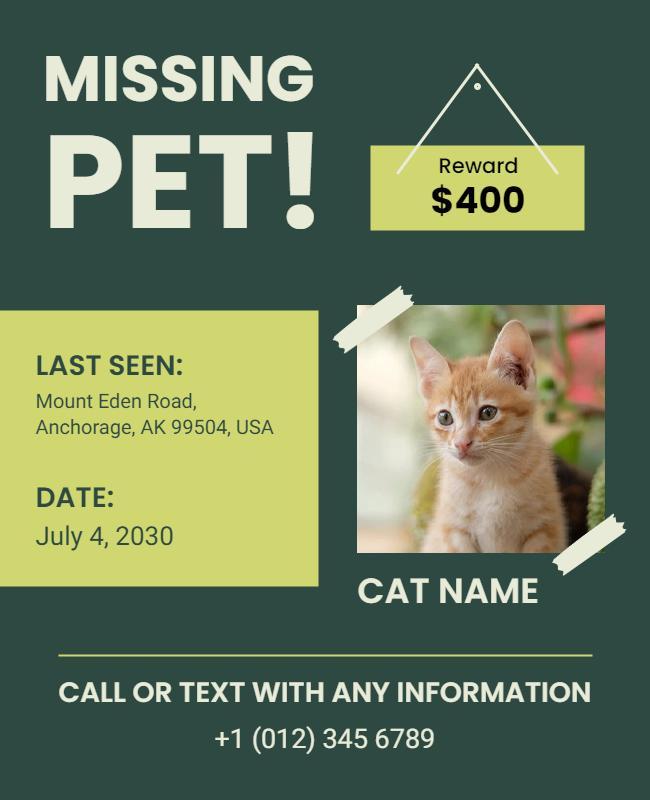 Missing Cat Reward Notice Flyer Template