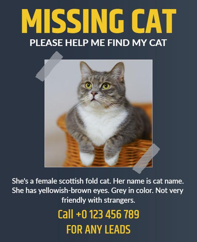 Urgent Missing Cat Notice with Grey Color Theme Flyer Template