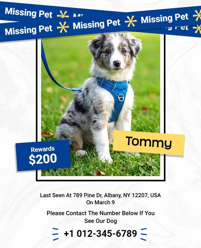 Missing Pet Reward Notice Poster Template