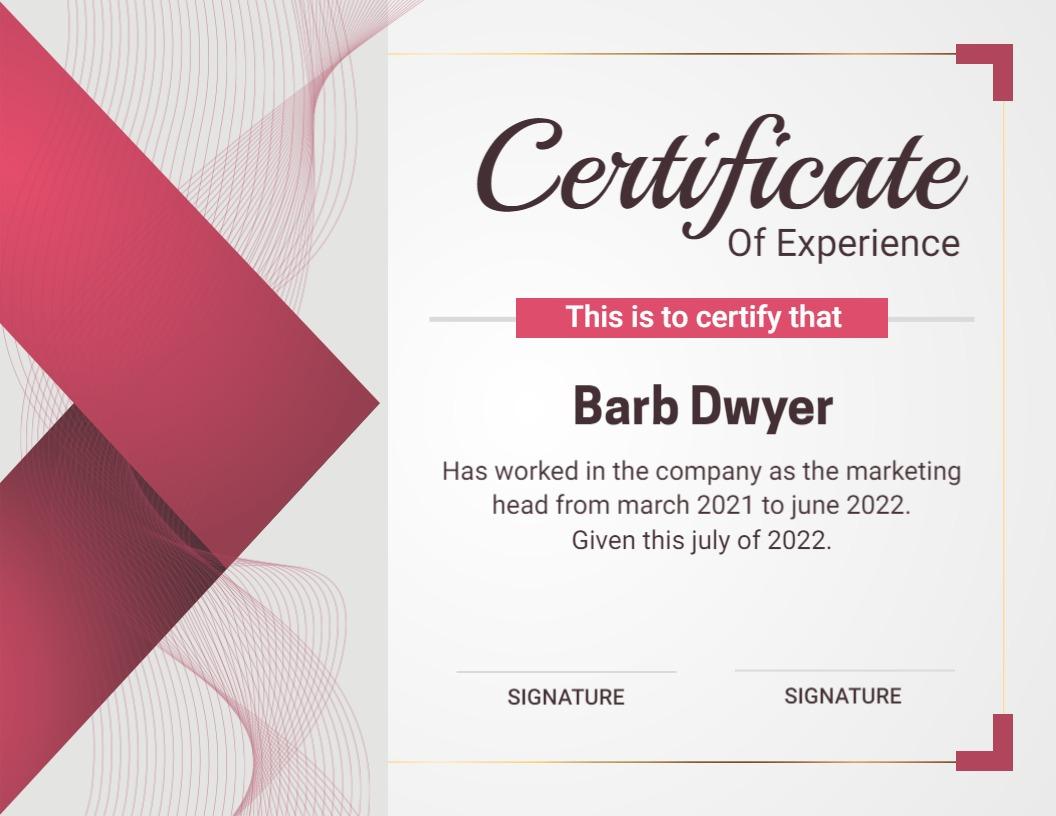 Modern Elegant Pink Experience Certificate Template