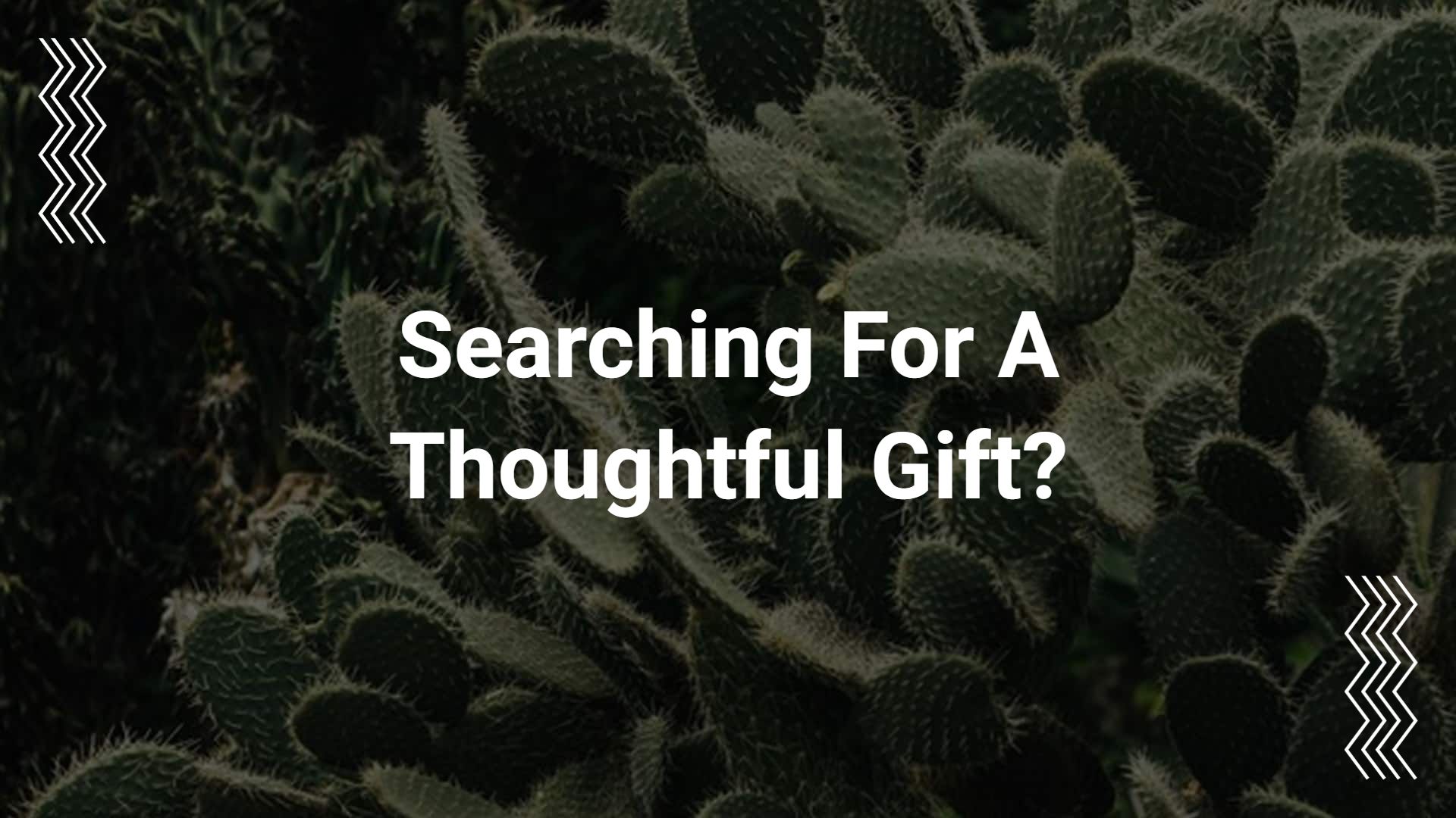 Modern Green Cactus Gift Ideas Home Decoration Product Presentation Template