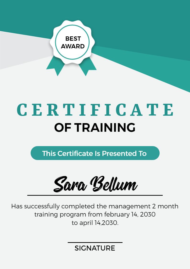 Modern Teal and White Award for Training Completion Certificate Template