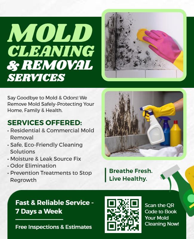 Mold Cleaning and Removal Services Flyer Template