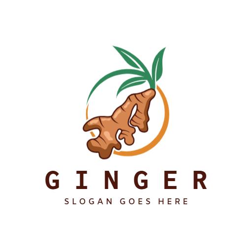 Natural Ginger Root Illustration Highlighting Healthy Benefits Logo Template