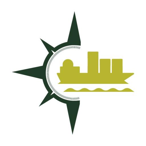 Nautical Star Design Symbolizing Efficient Logistics Sector Logo Template
