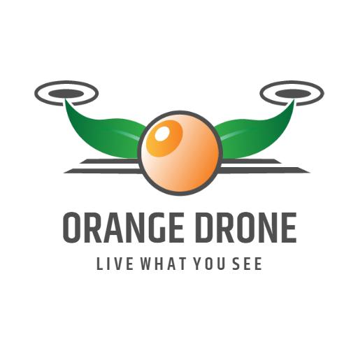 Orange Drone Design Showcasing Aerial Perspectives Logo Template