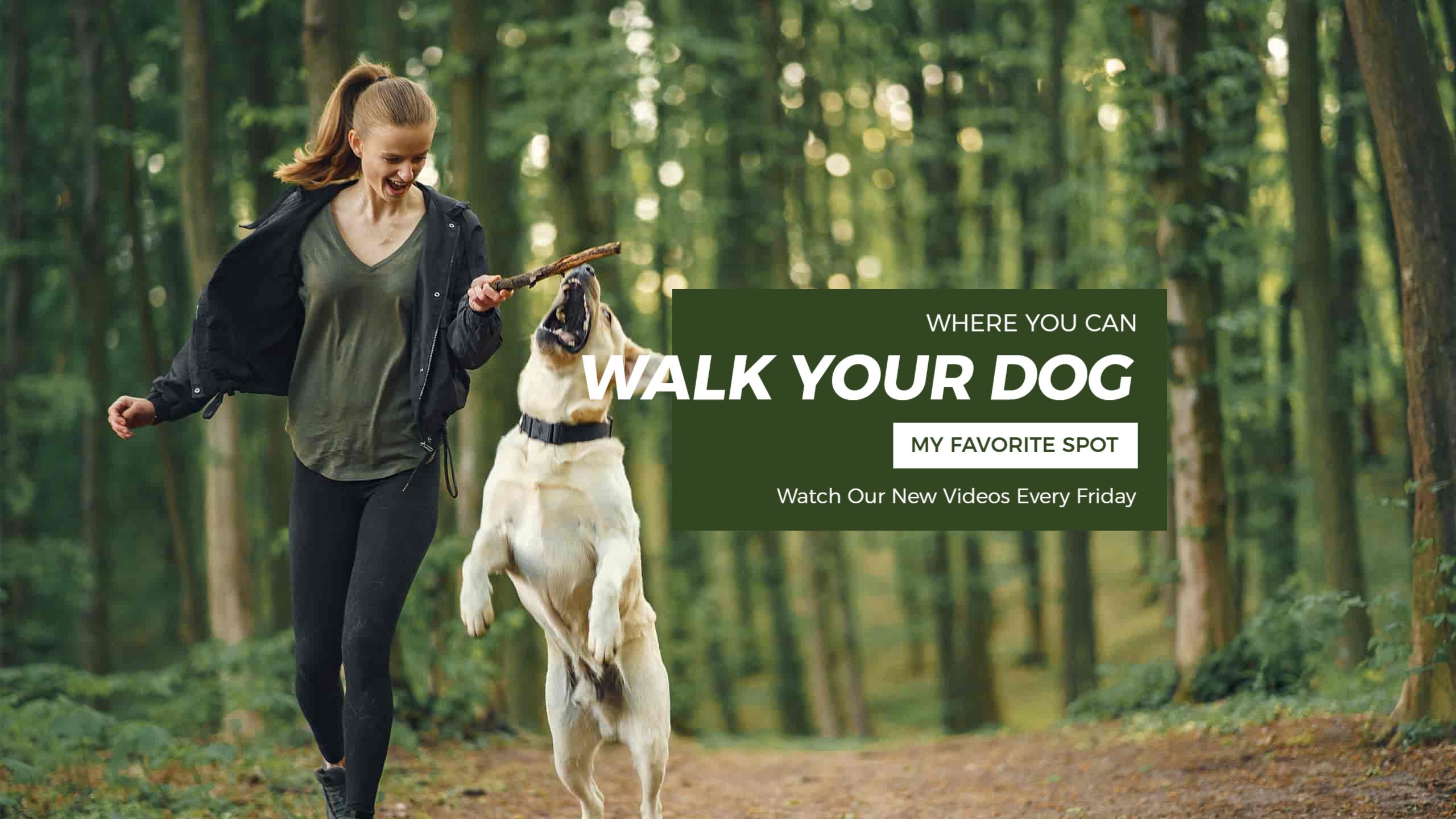 Outdoor Dog Walking Adventure with Green Forest YouTube Banner Template