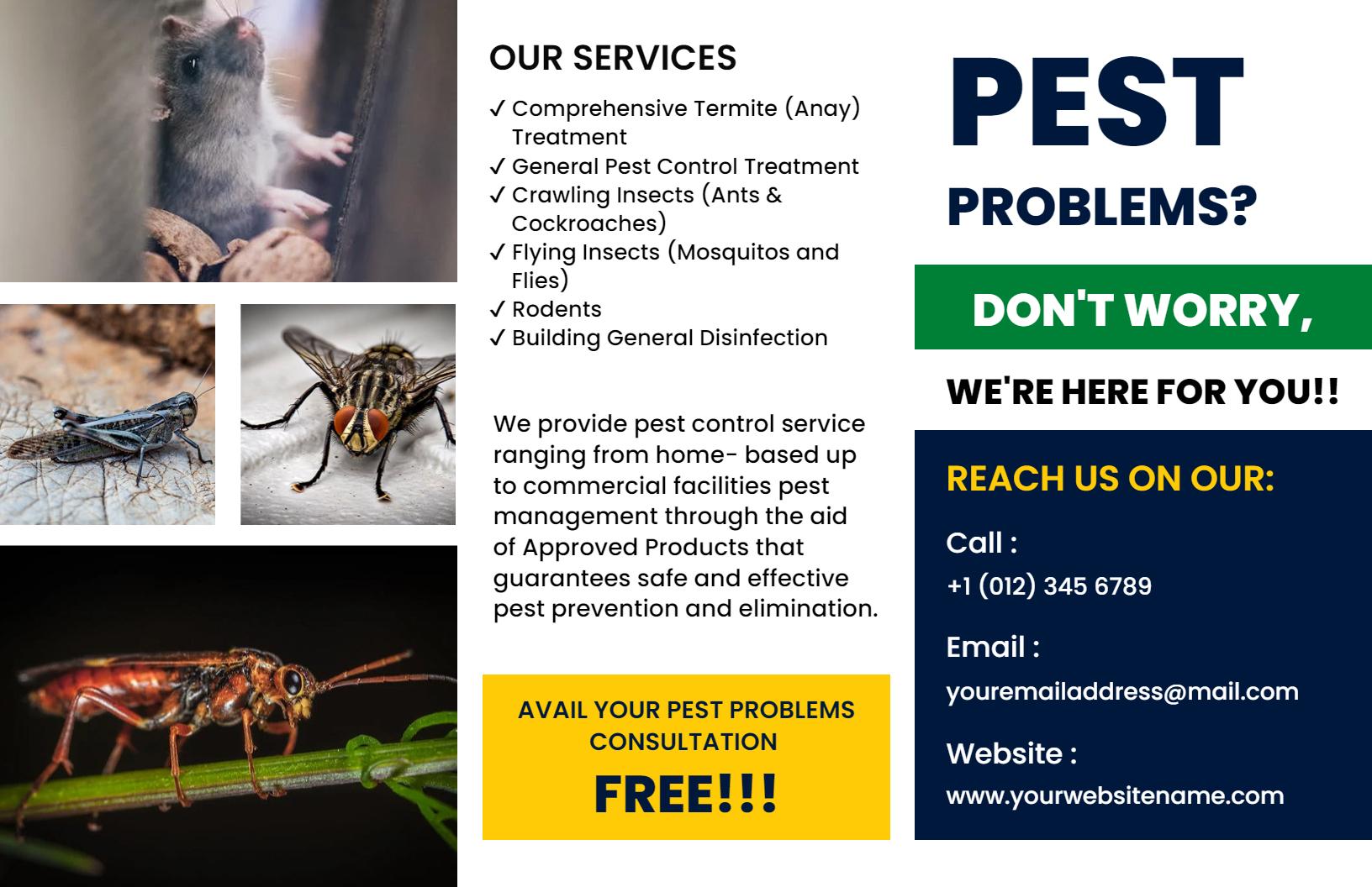 Pest Control Comprehensive Services and Solutions Brochure Template