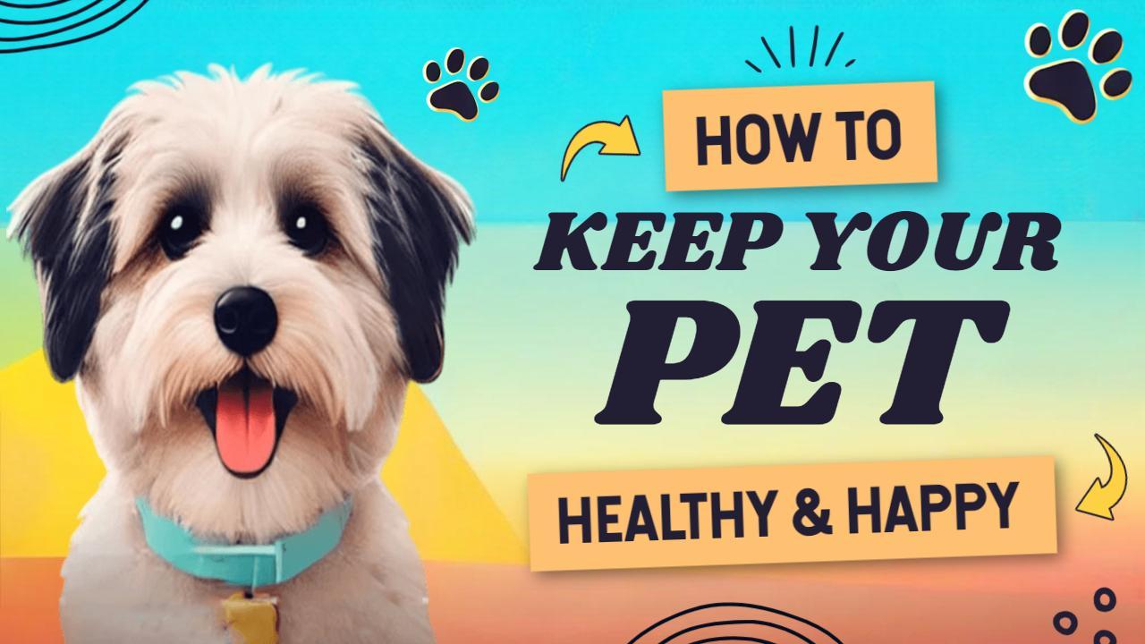 Pet Care Tips Keeping Pets Healthy Trending YouTube Thumbnail Template